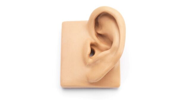 KB0066 – Kemar Ohr für Typ 45BA, 45BM, 43AG, 45BB und 45BC
